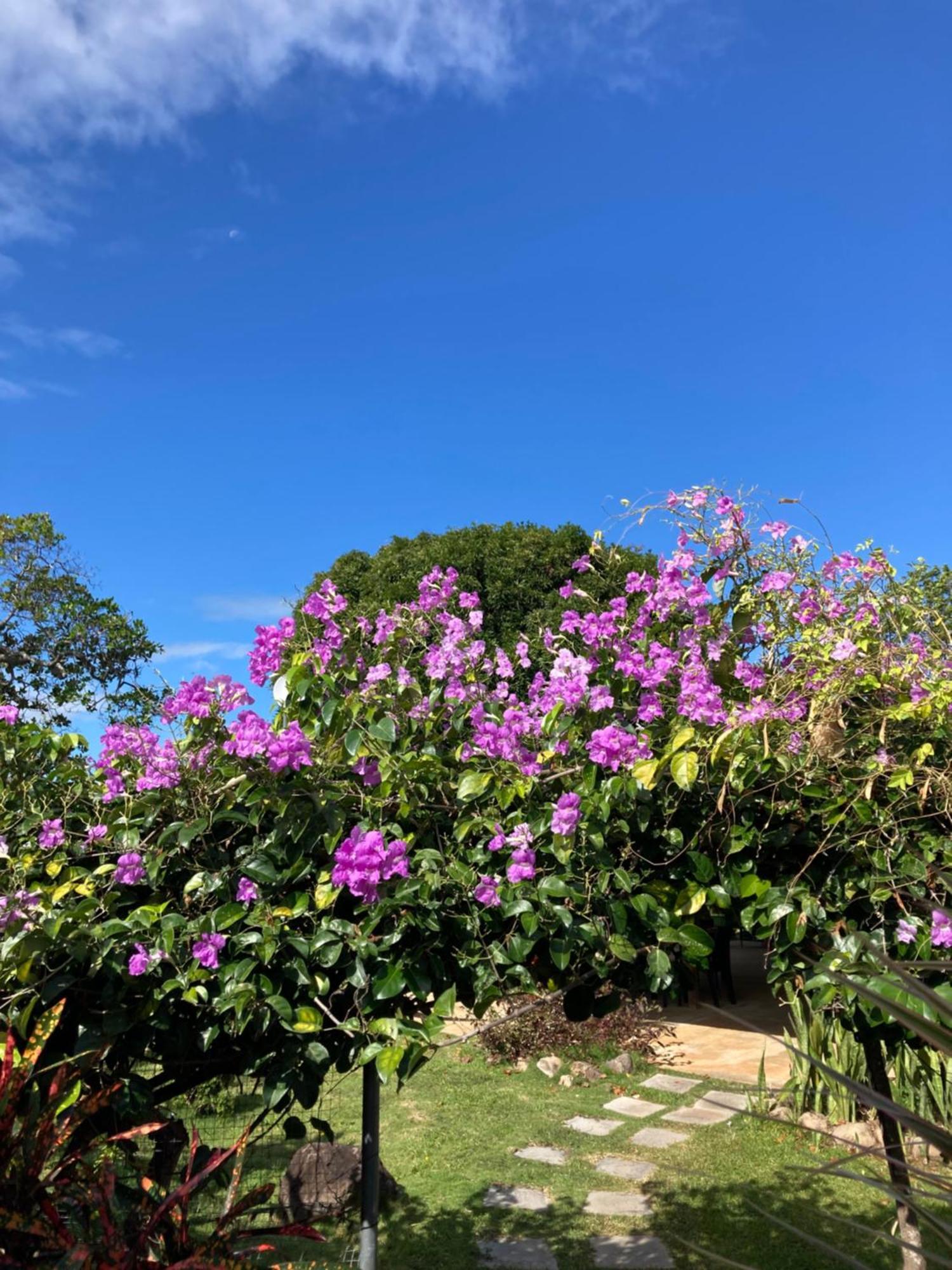 La Maracuya Panama Bed & Breakfast Playa Coronado Bagian luar foto