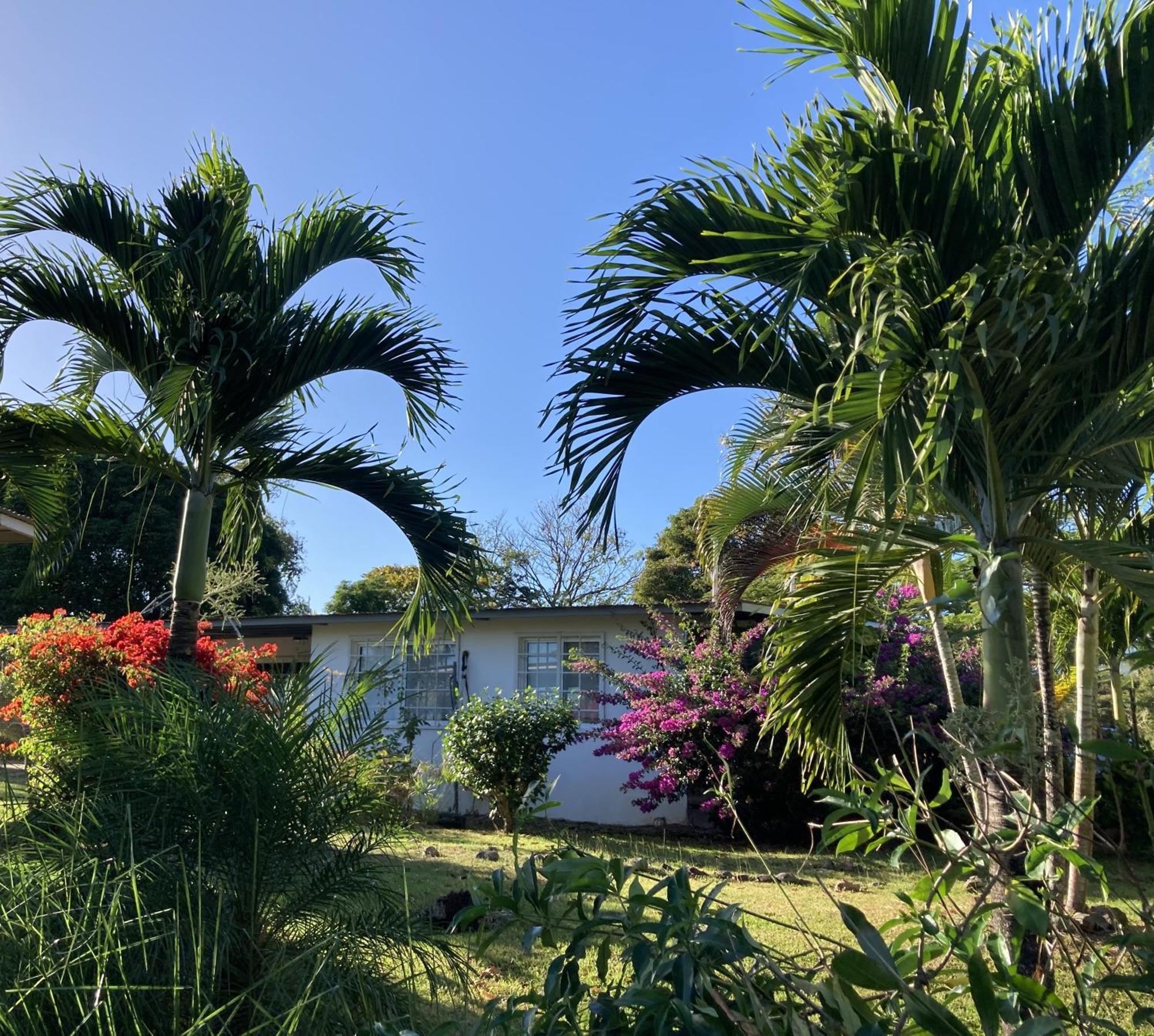 La Maracuya Panama Bed & Breakfast Playa Coronado Bagian luar foto