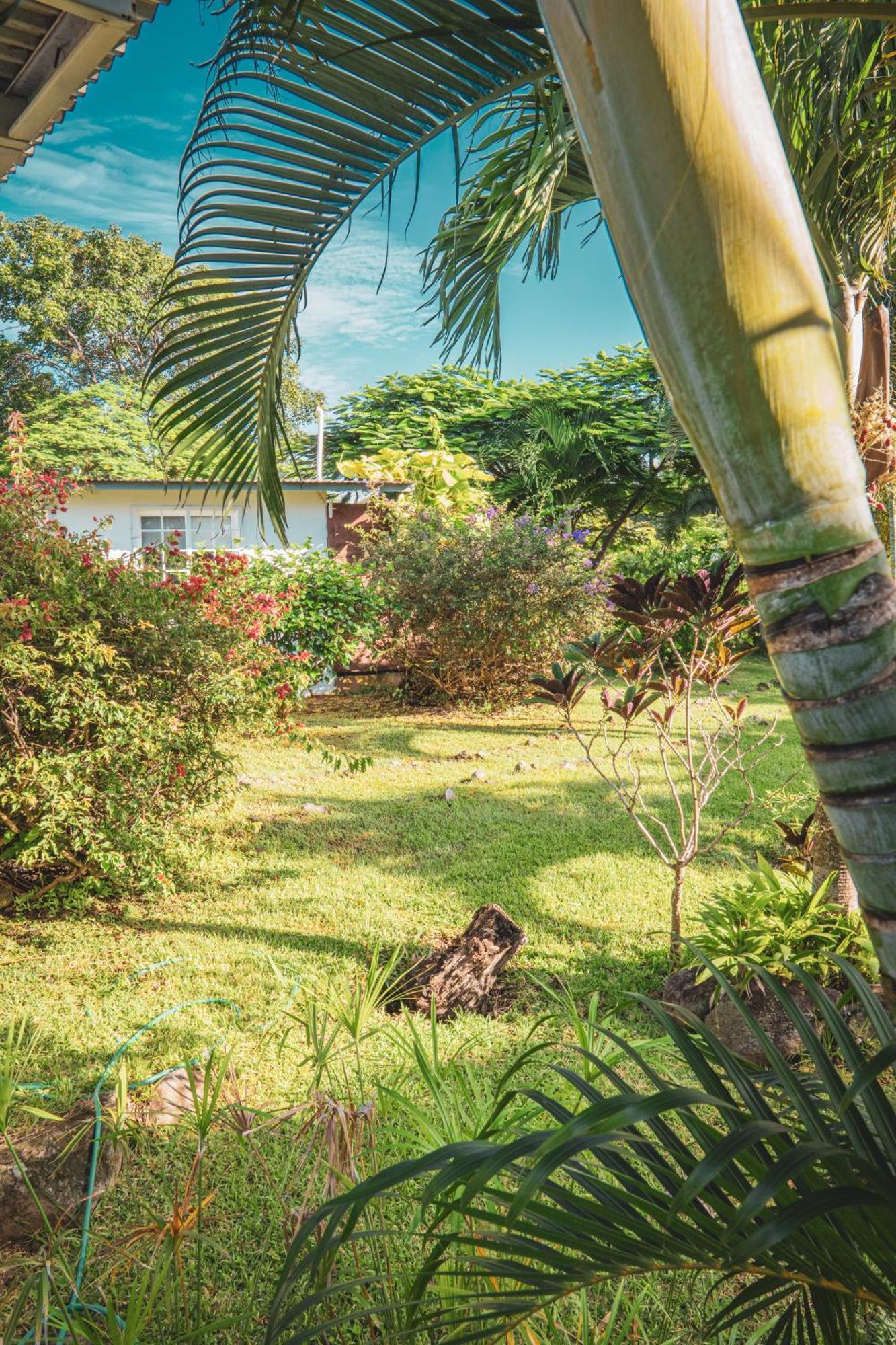 La Maracuya Panama Bed & Breakfast Playa Coronado Bagian luar foto